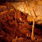 5 Lugares del Sur de Arizona que Debes Conocer