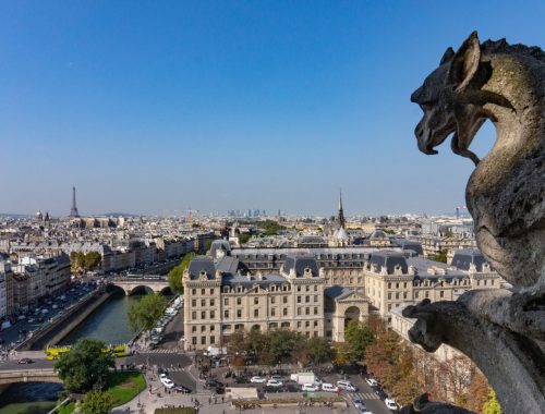 Catedral de Notre Dame en Paris