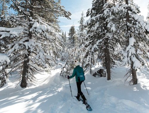 Caminata con raquetas de nieve