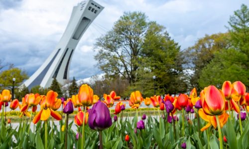 Jardin Botanico de Montreal (1)