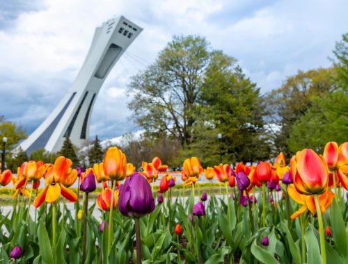 Jardin Botanico de Montreal (1)