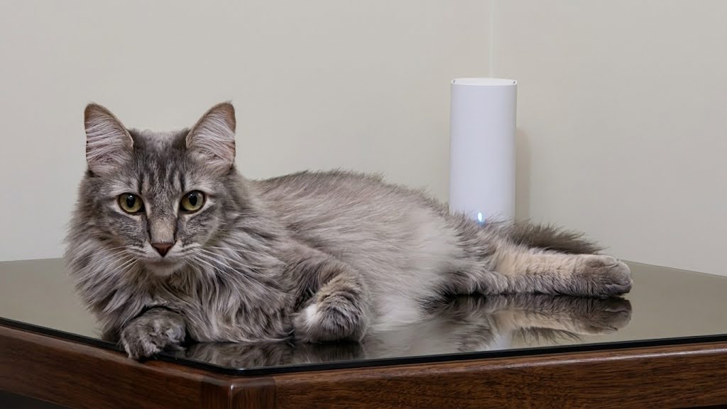 Gato junto Huawei Mesh 3